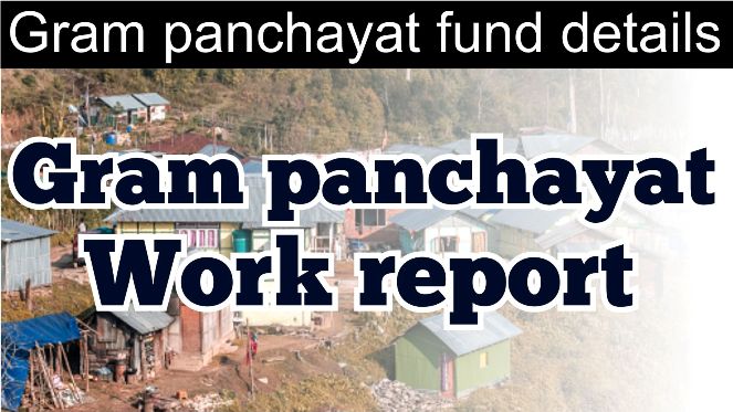Complete process of gram panchayat fund check