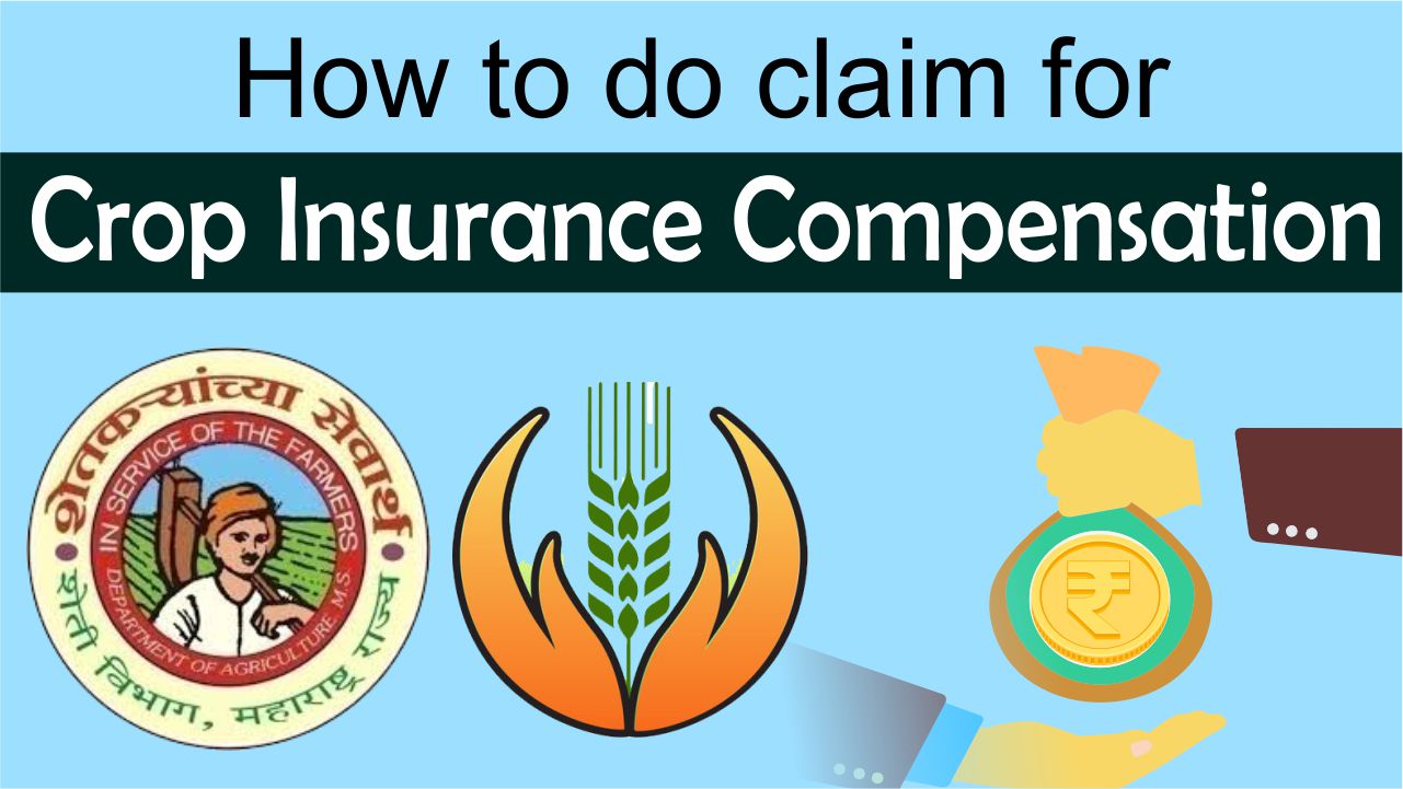 Crop insurance compensation learn How to do claim