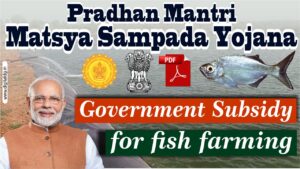 fish farming business plan in maharashtra