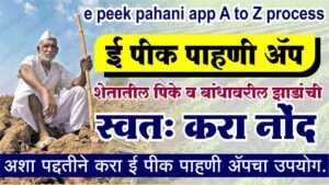 e pik pahani online maharashtra Archives - Digital DG