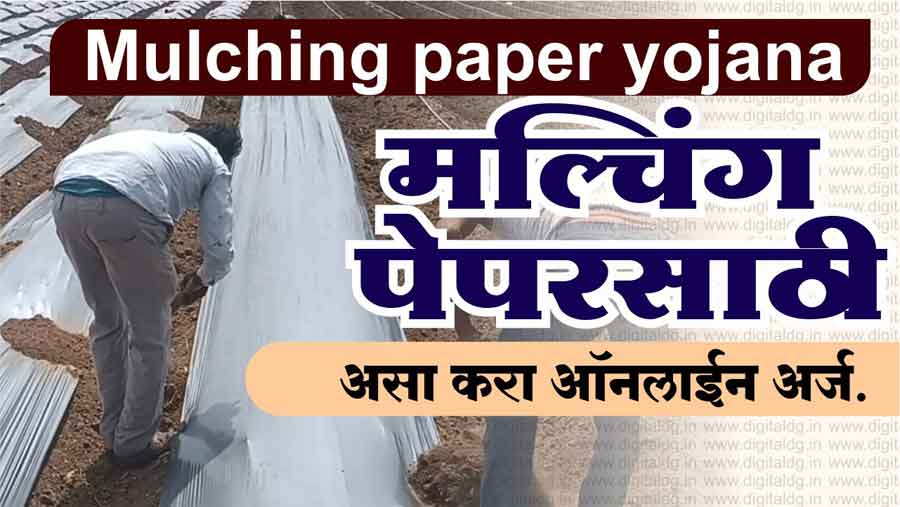 Mulching paper yojana मल्चिंग पेपरसाठी असा करा ऑनलाईन अर्ज.