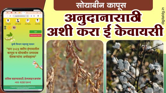 soyabean kapus anudan ekyc सोयाबीन कापूस अनुदान इकेवायसी करा मोबाईलद्वारे.