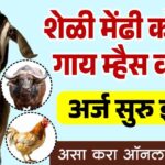 शेळी गट वाटप योजना
