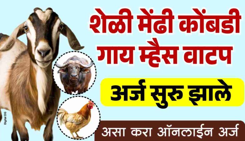 शेळी गट वाटप योजना