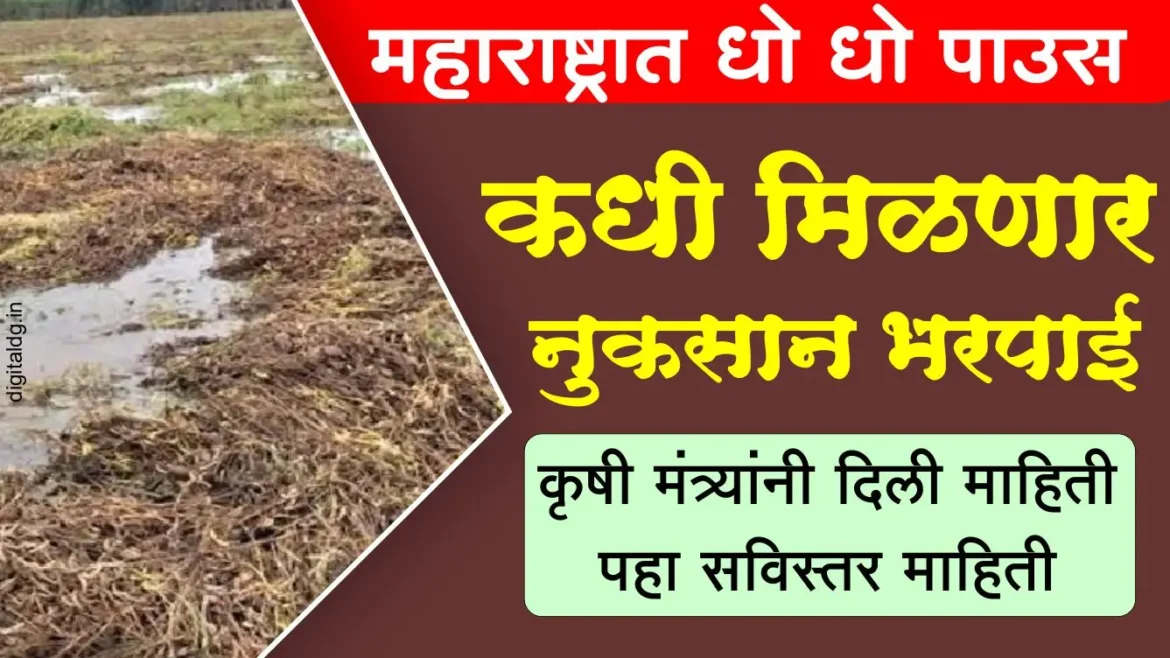राज्यात धो धो पाउस शेतकऱ्यांच्या पिकांचे नुकसान या दिवशी मिळणार नुकसान भरपाई – कृषिमंत्र्यांची माहिती