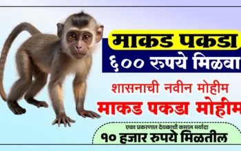 माकड पकडा मोहीम