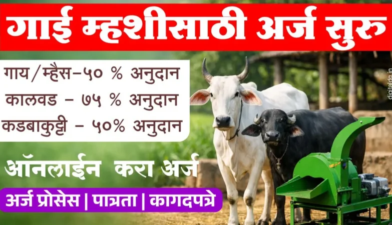 गाय म्हैस अर्ज सुरु