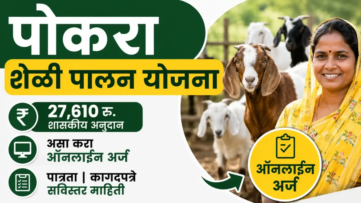 पोकरा शेळीपालन योजना २०२६: विधवा आणि भूमिहीन महिलांसाठी आर्थिक स्वावलंबनाची सुवर्णसंधी