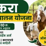 पोकरा शेळीपालन योजना 2026 अंतर्गत विधवा महिलांसाठी 27610 रुपये अनुदान आणि ऑनलाईन अर्ज प्रक्रिया