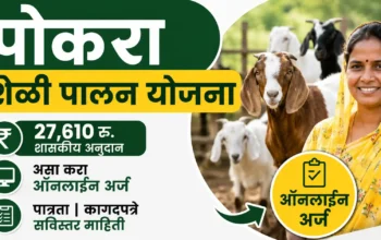 पोकरा शेळीपालन योजना 2026 अंतर्गत विधवा महिलांसाठी 27610 रुपये अनुदान आणि ऑनलाईन अर्ज प्रक्रिया