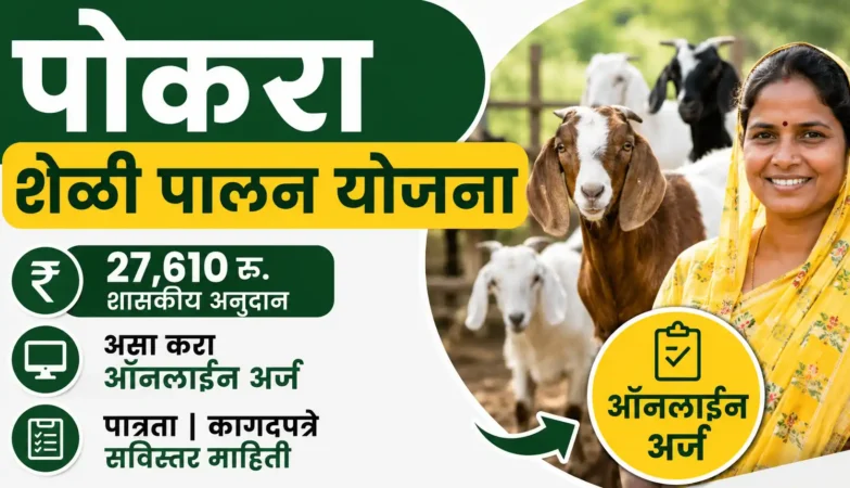 पोकरा शेळीपालन योजना 2026 अंतर्गत विधवा महिलांसाठी 27610 रुपये अनुदान आणि ऑनलाईन अर्ज प्रक्रिया
