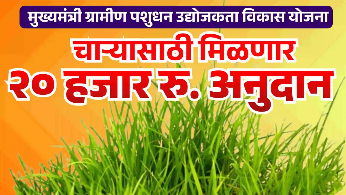 20 हजार रुपये चारा अनुदान मिळणार; दुष्काळामुळे मुख्यमंत्री ग्रामीण पशुधन योजनेची व्याप्ती वाढली!