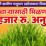 20 हजार रुपये चारा अनुदान योजना 2026 अंतर्गत शेतकरी गटांना 20 हजार व वैयक्तिक शेतकऱ्यांना 4 हजार रुपयांचे चारा बियाणे