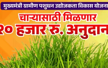 20 हजार रुपये चारा अनुदान योजना 2026 अंतर्गत शेतकरी गटांना 20 हजार व वैयक्तिक शेतकऱ्यांना 4 हजार रुपयांचे चारा बियाणे