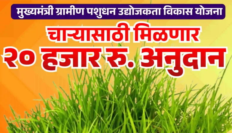 20 हजार रुपये चारा अनुदान योजना 2026 अंतर्गत शेतकरी गटांना 20 हजार व वैयक्तिक शेतकऱ्यांना 4 हजार रुपयांचे चारा बियाणे