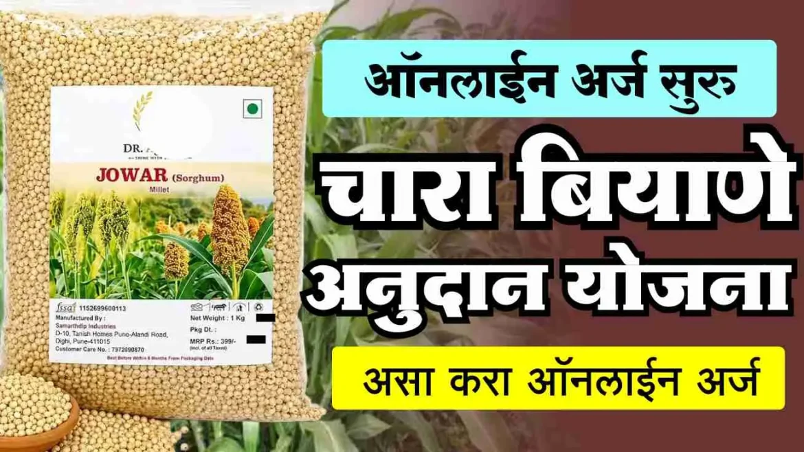 चारा बियाणे अनुदान योजना 2026: शेतकऱ्यांना 100% अनुदानावर मिळणार बियाणे; ऑनलाइन अर्ज सुरू